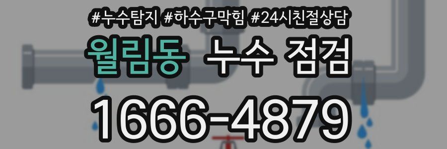 월림동 누수 점검