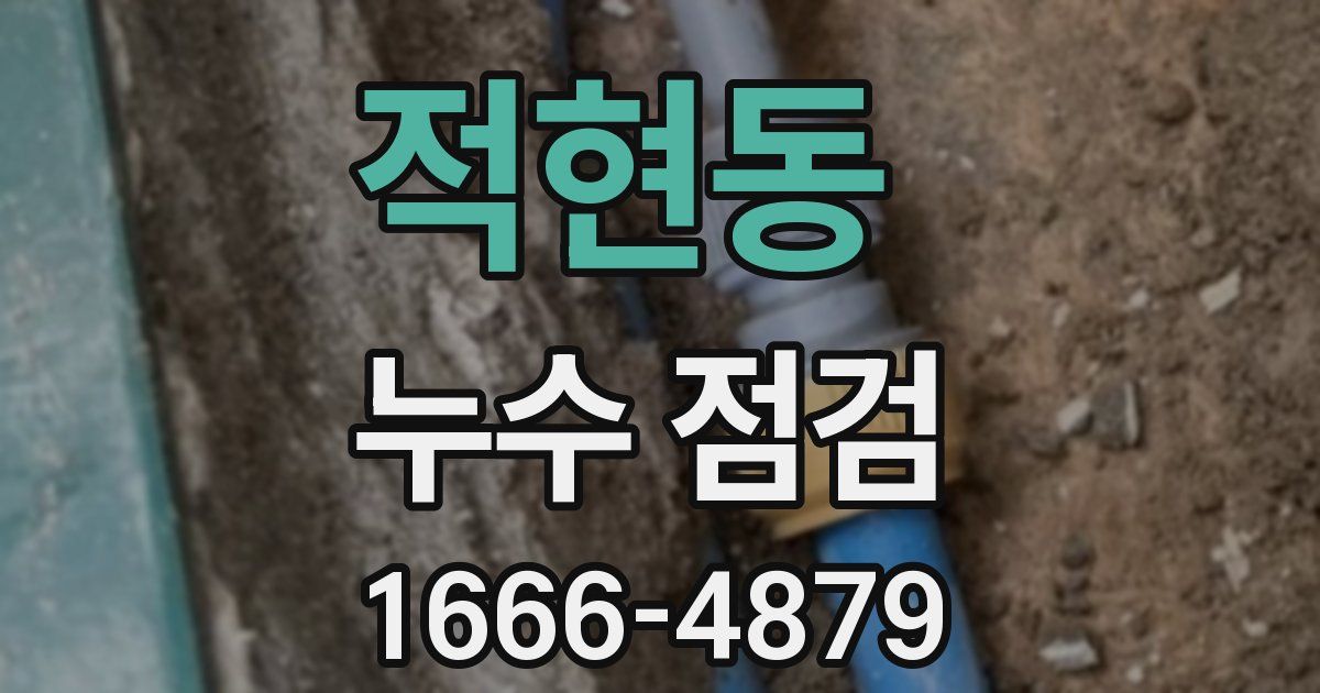적현동 누수 점검