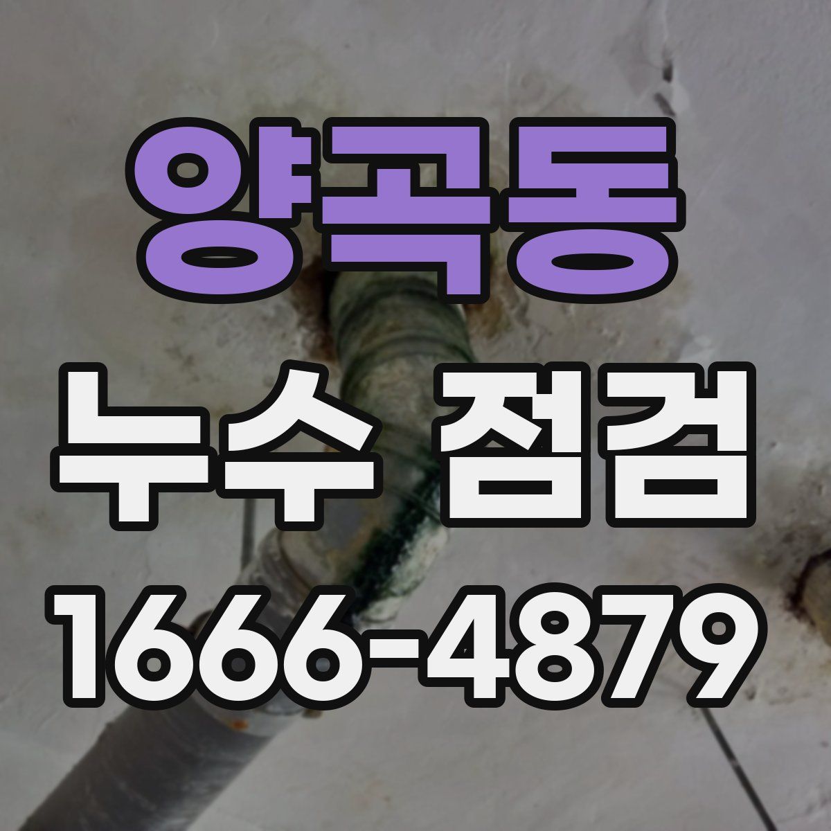 양곡동 누수 점검