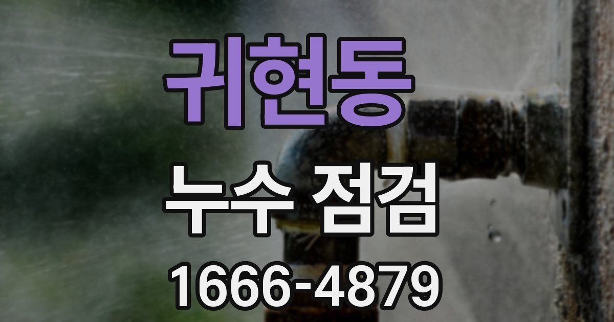 귀현동 누수 점검