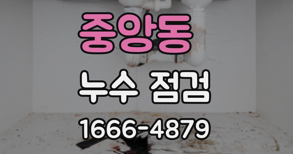 중앙동 누수 점검