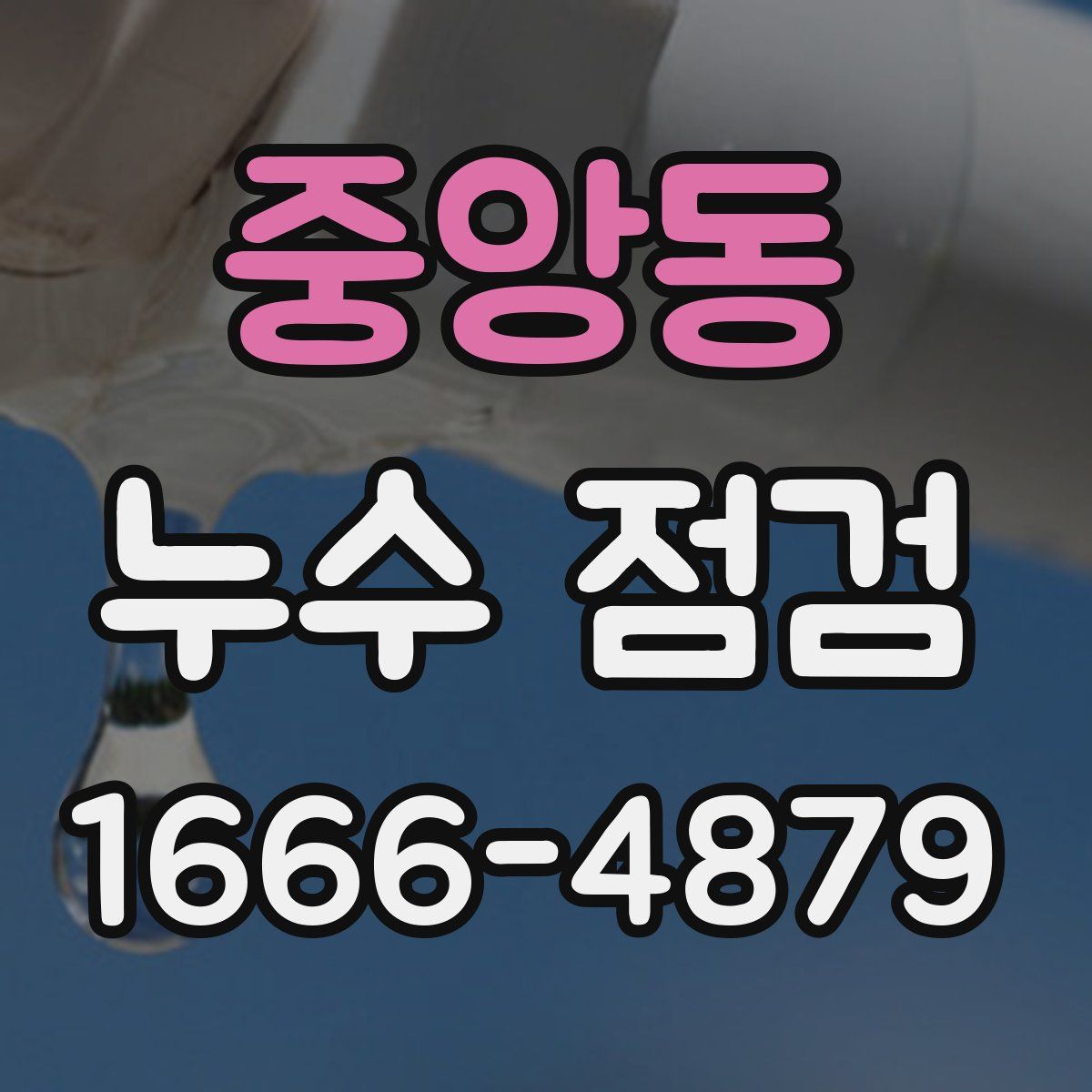 중앙동 누수 점검