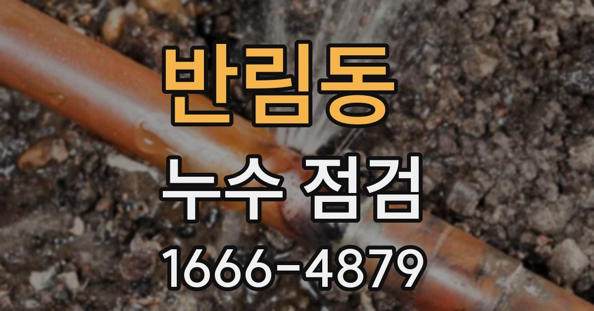 반림동 누수 점검