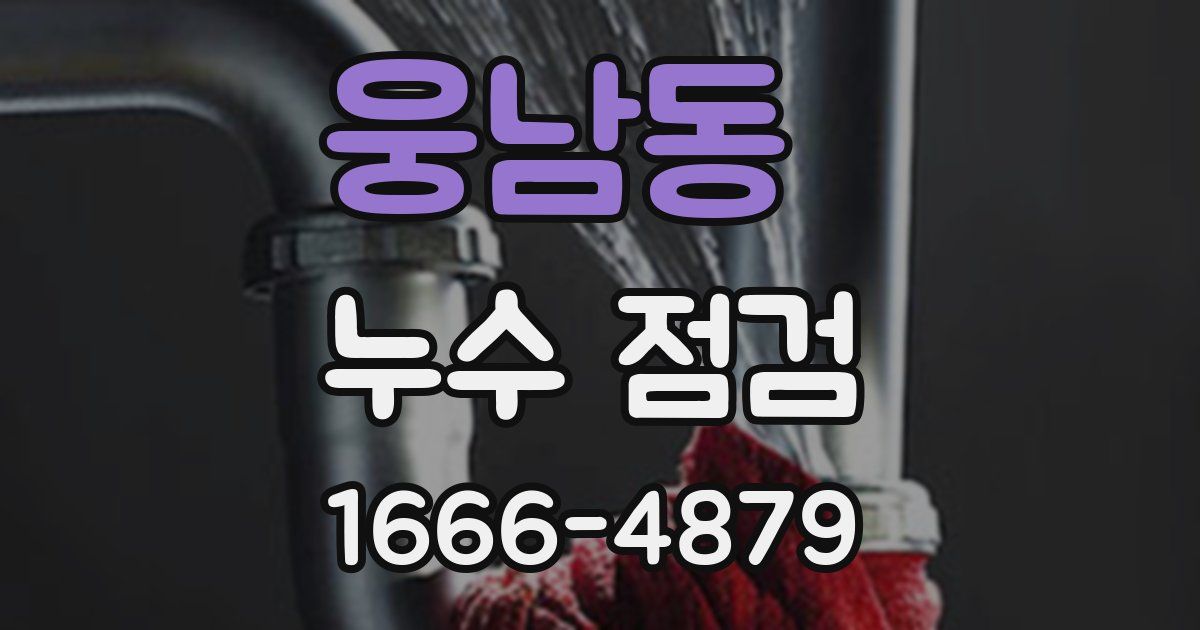 웅남동 누수 점검