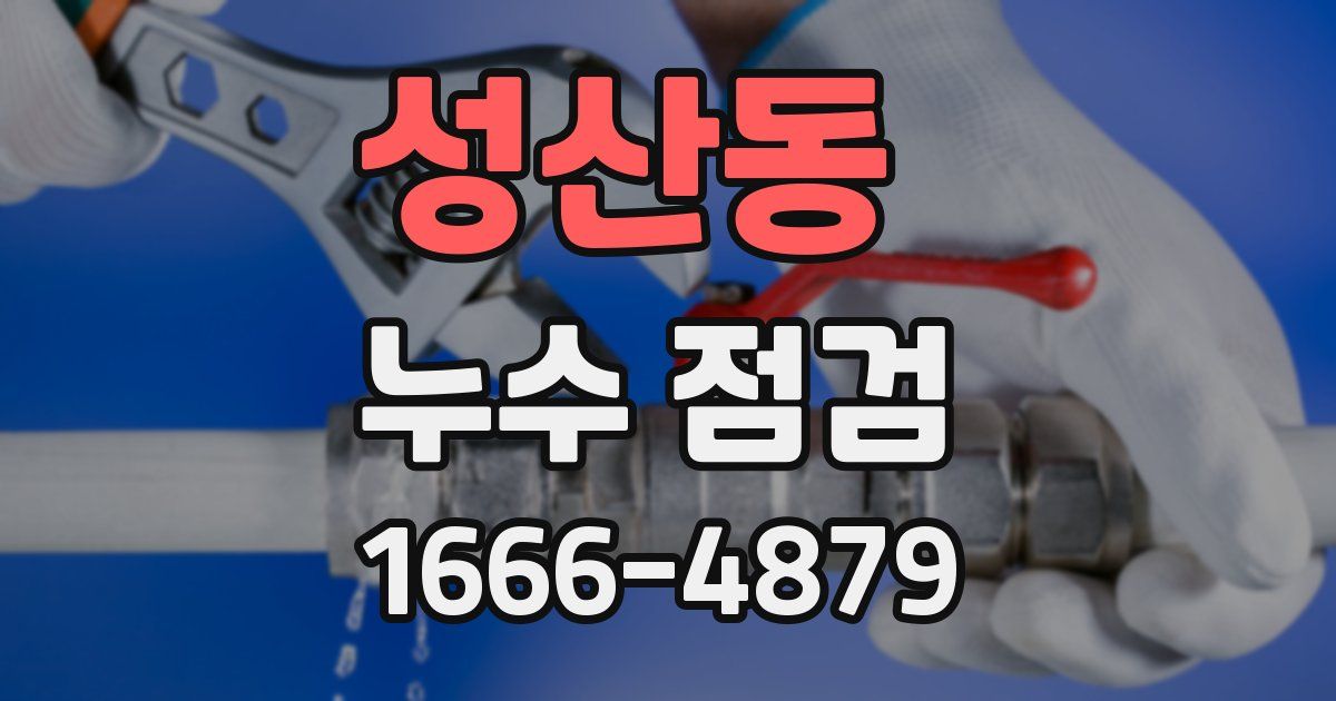 성산동 누수 점검