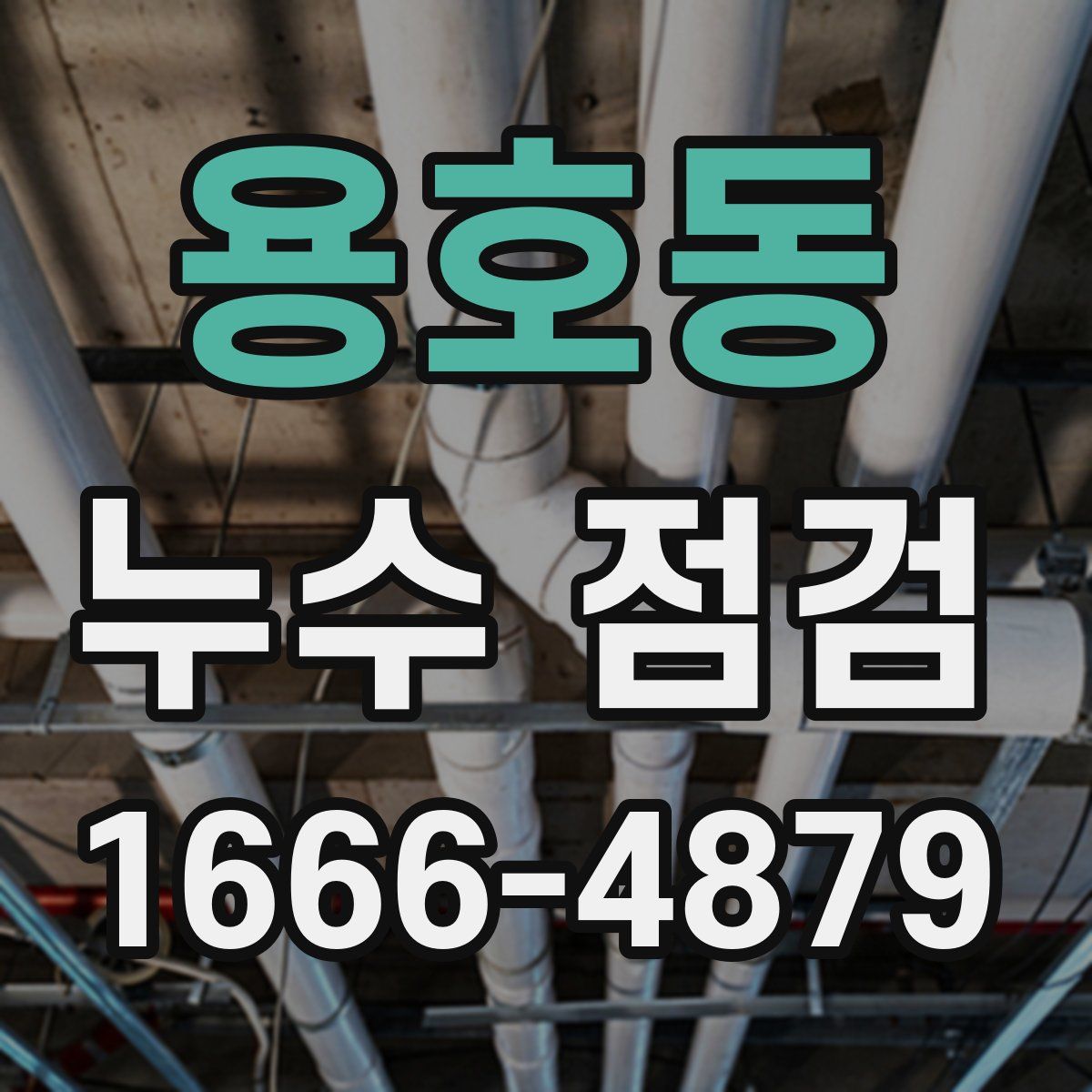 용호동 누수 점검