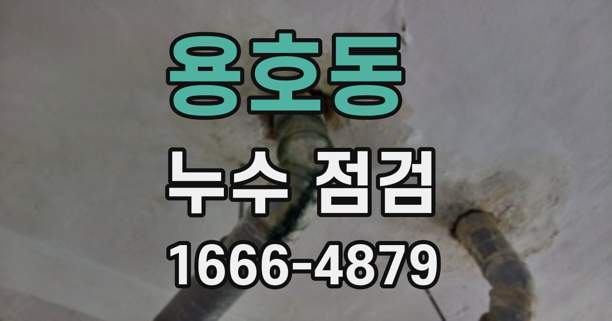 용호동 누수 점검