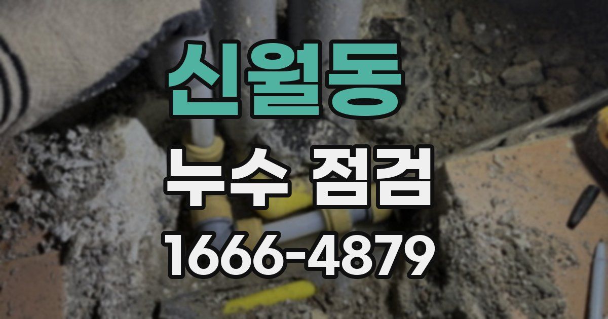 신월동 누수 점검