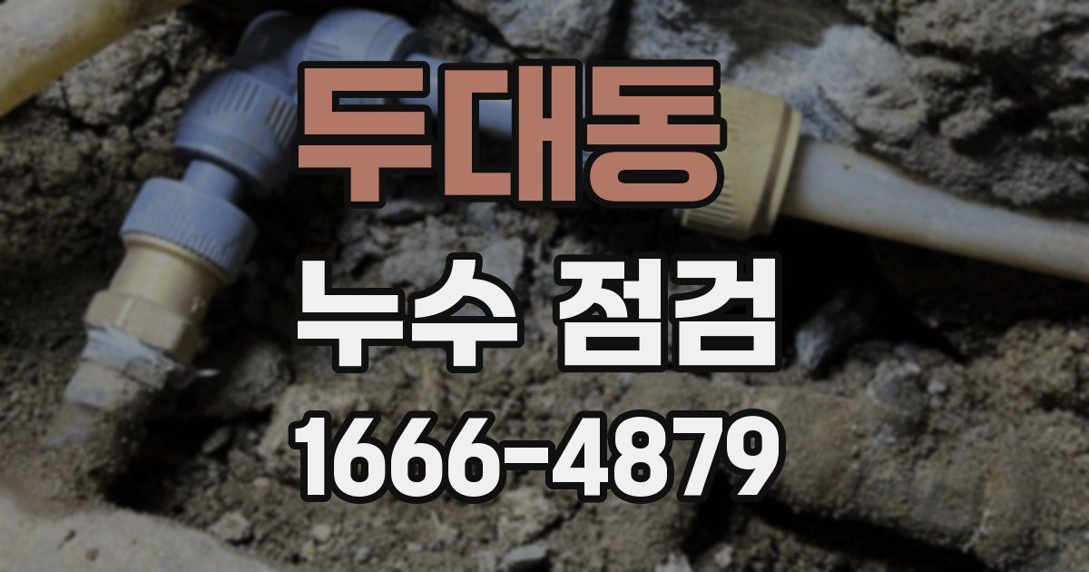 두대동 누수 점검