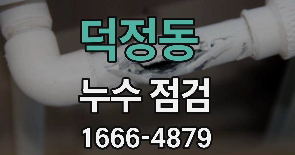 덕정동 누수 점검