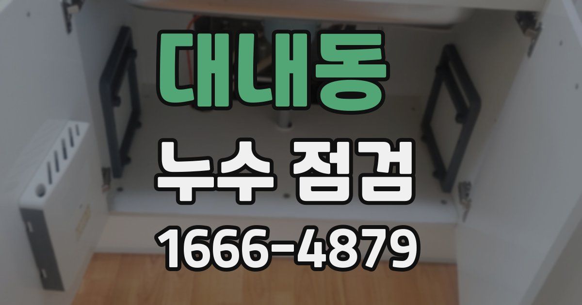 대내동 누수 점검