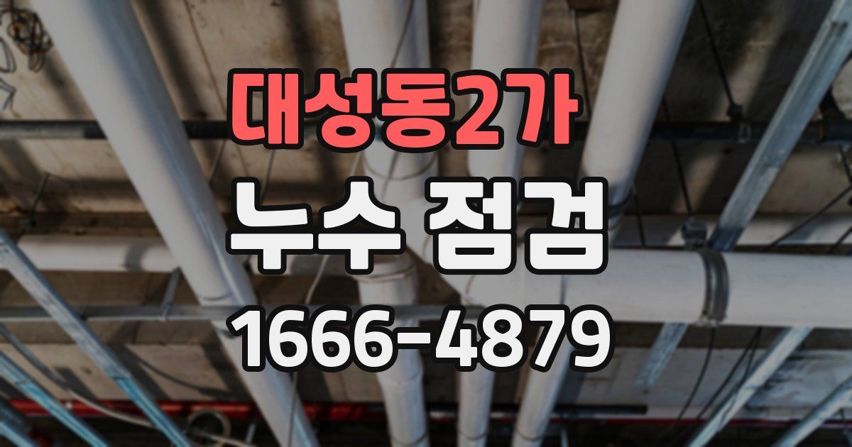 대성동2가 누수 점검