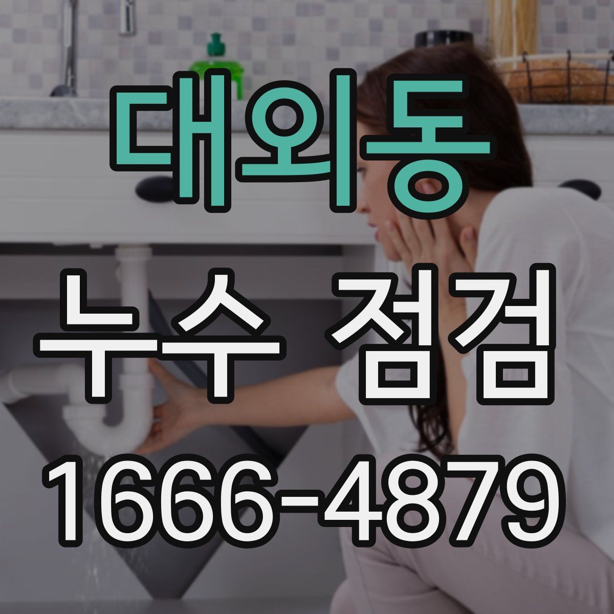 대외동 누수 점검