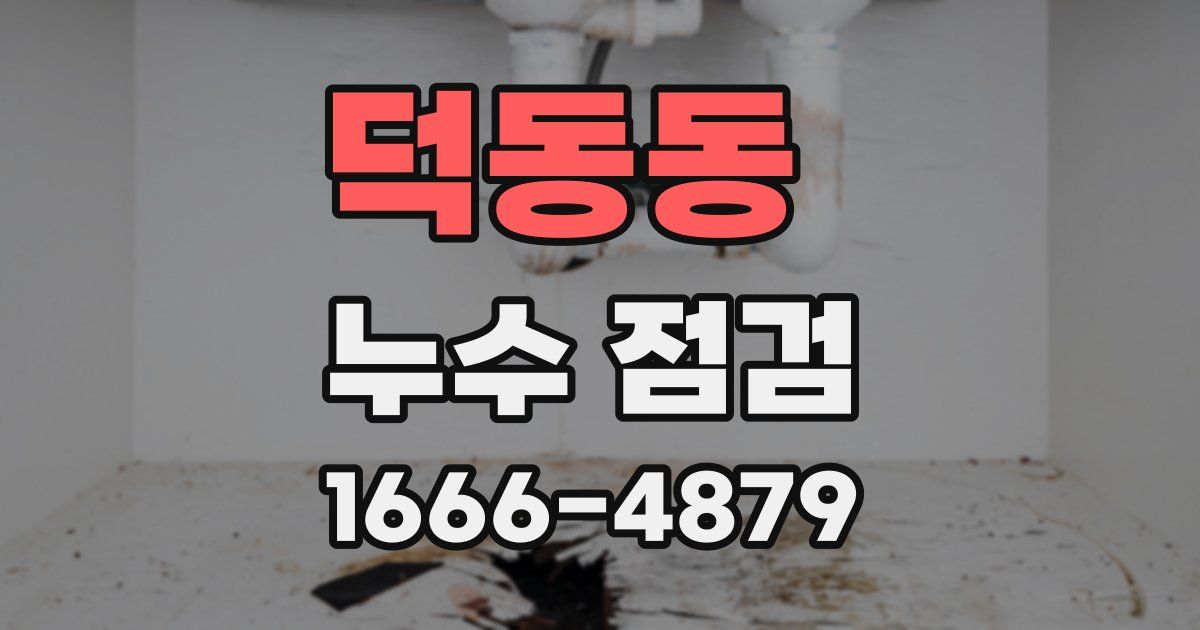 덕동동 누수 점검