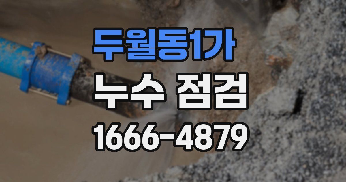 두월동1가 누수 점검