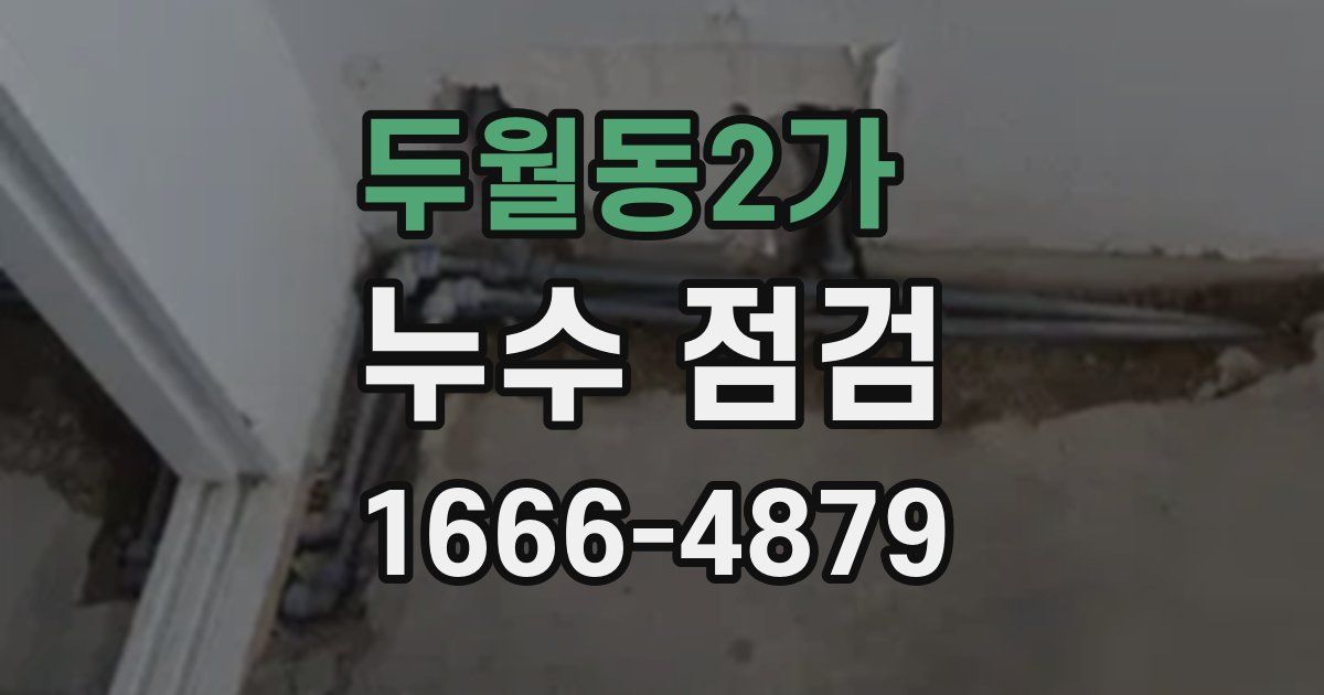 두월동2가 누수 점검