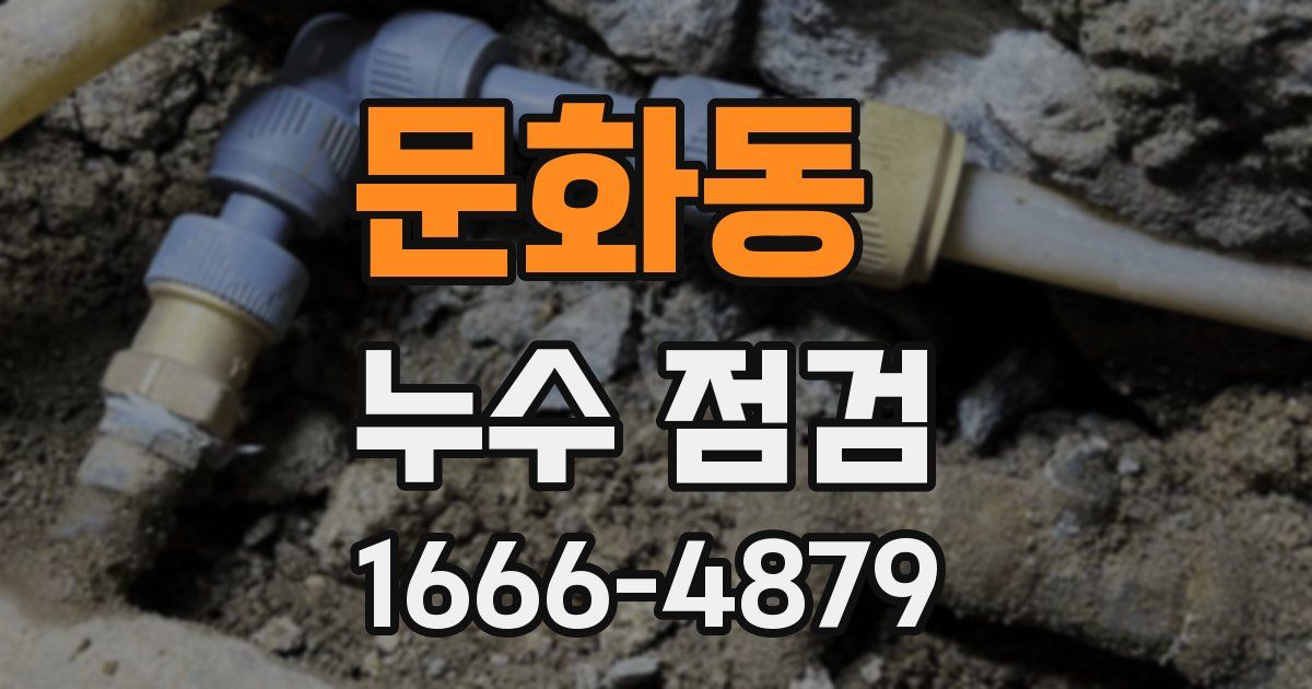 문화동 누수 점검