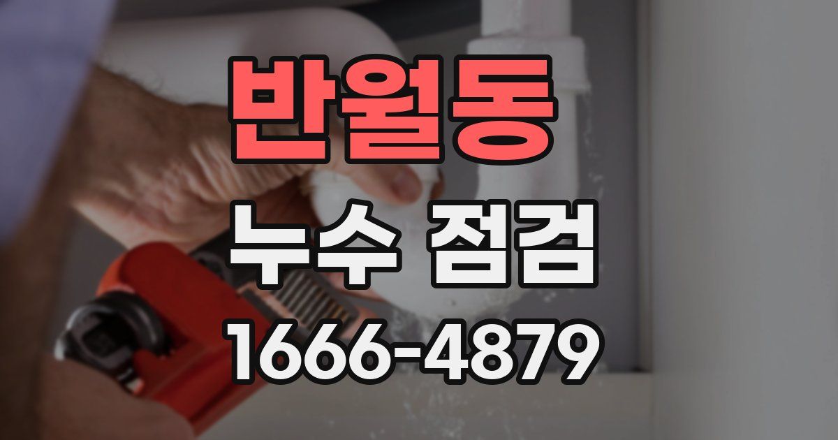반월동 누수 점검