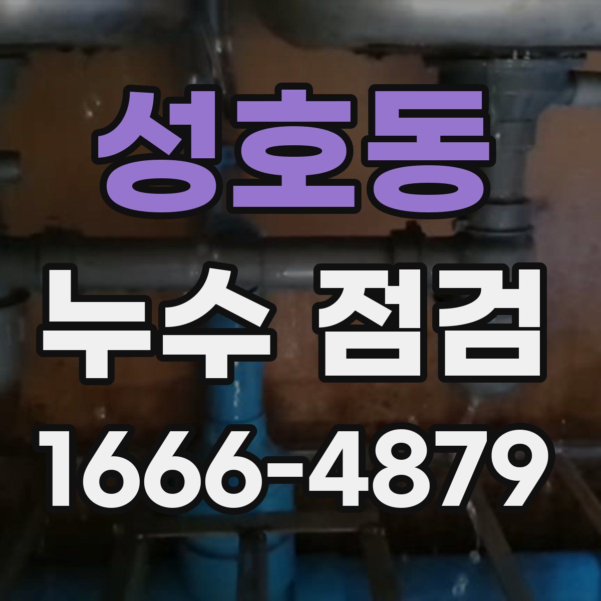성호동 누수 점검