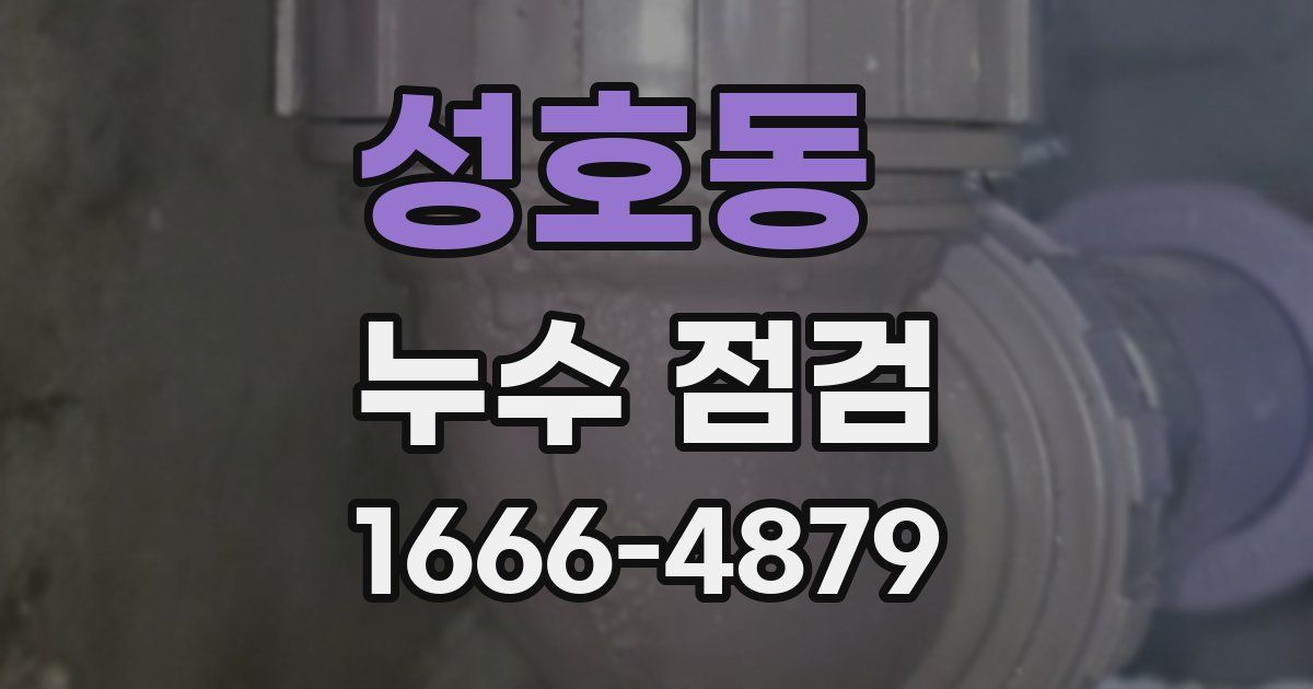 성호동 누수 점검