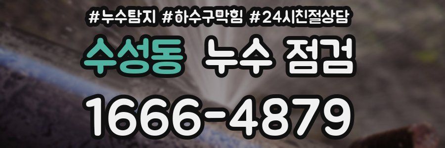 수성동 누수 점검