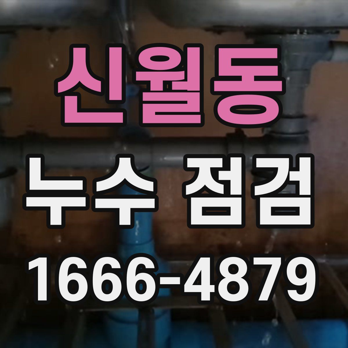 신월동 누수 점검