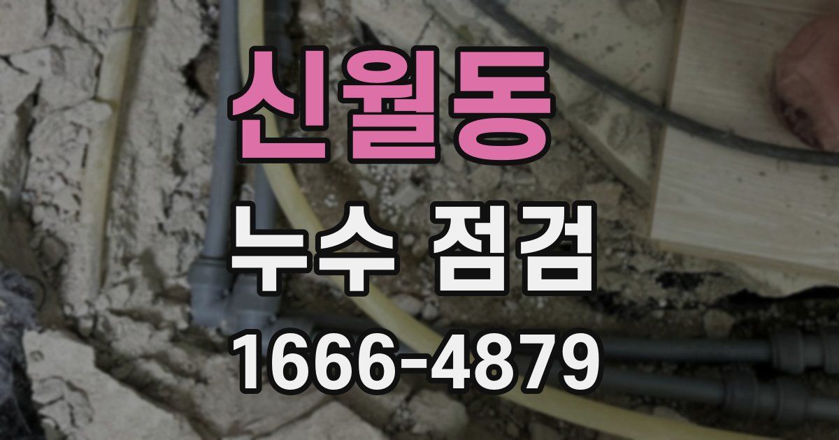 신월동 누수 점검