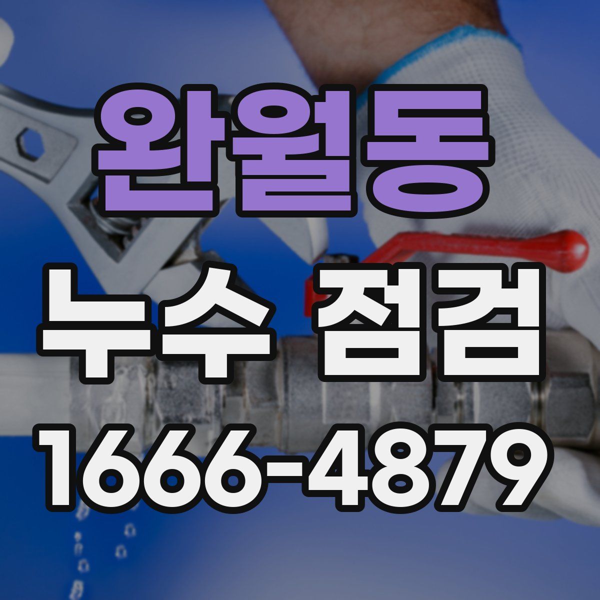 완월동 누수 점검