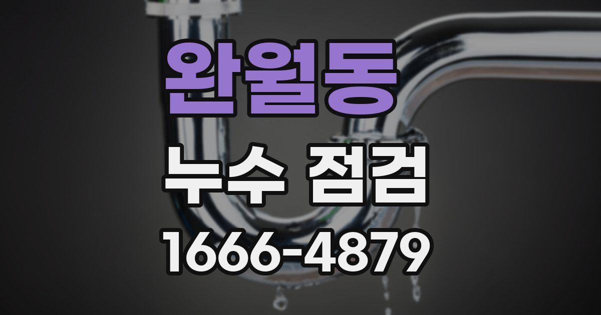 완월동 누수 점검