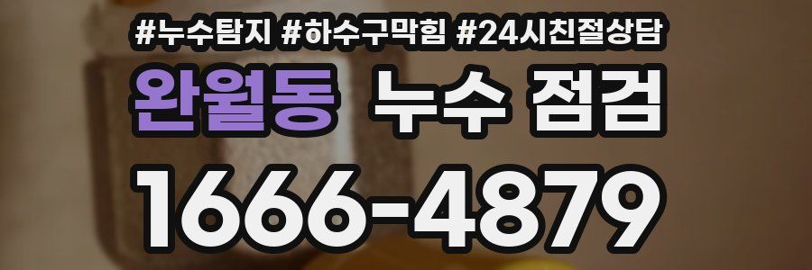 완월동 누수 점검