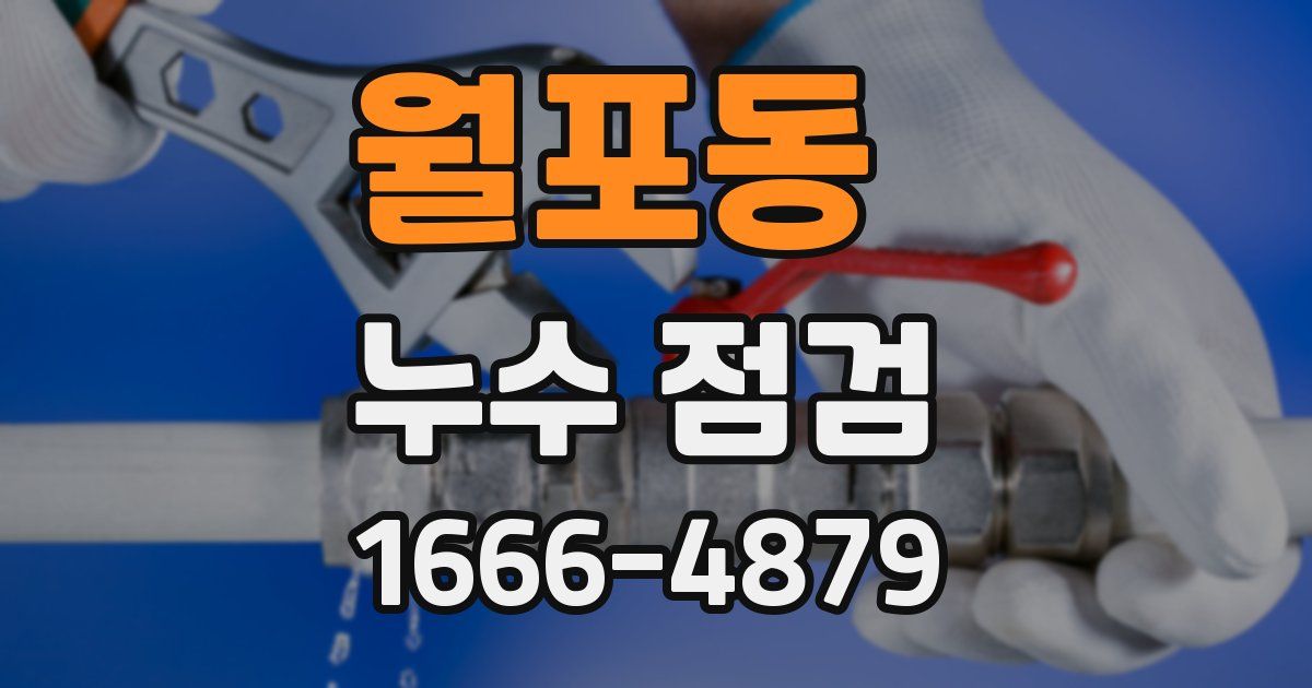 월포동 누수 점검