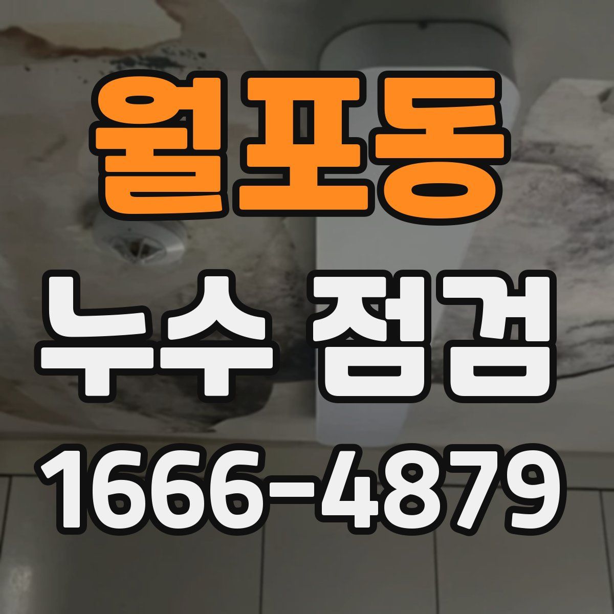 월포동 누수 점검