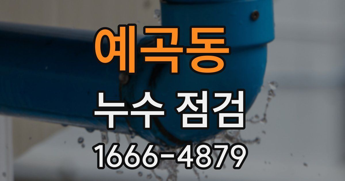 예곡동 누수 점검
