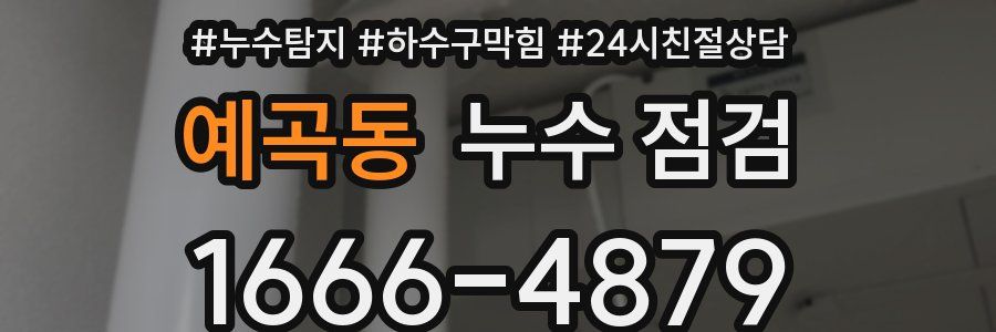예곡동 누수 점검
