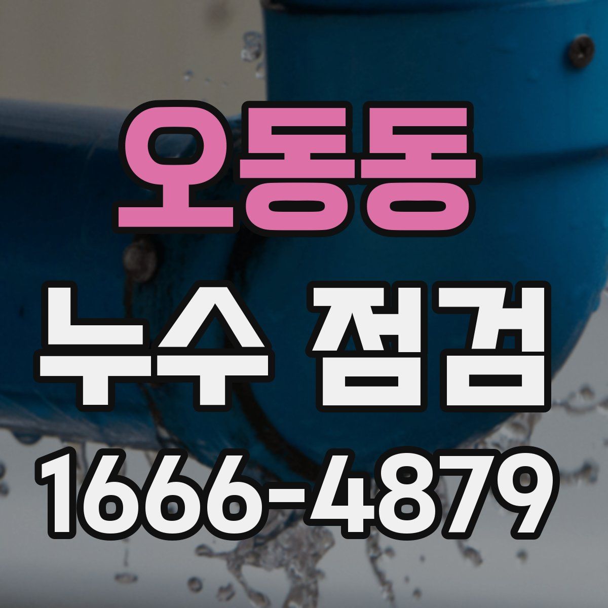 오동동 누수 점검