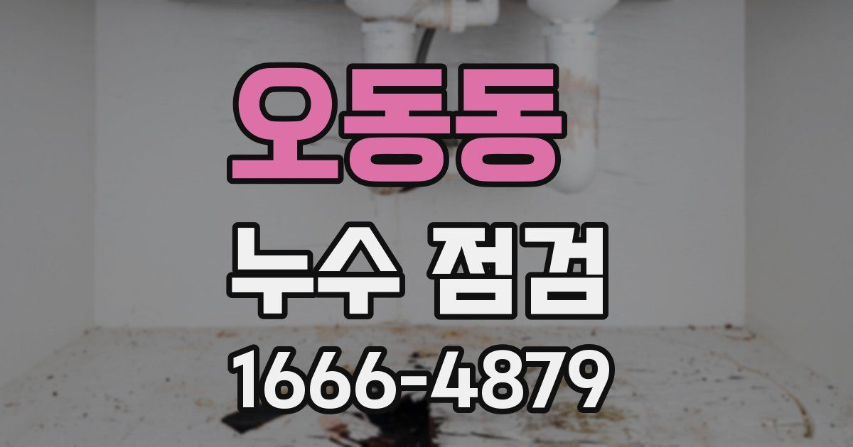 오동동 누수 점검