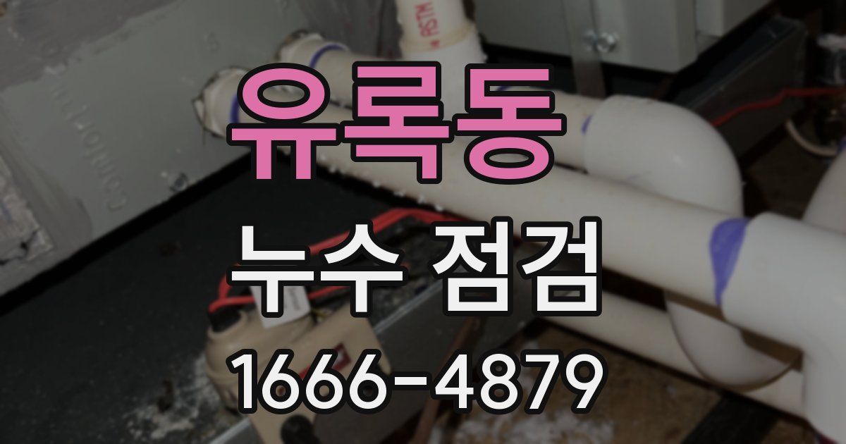 유록동 누수 점검