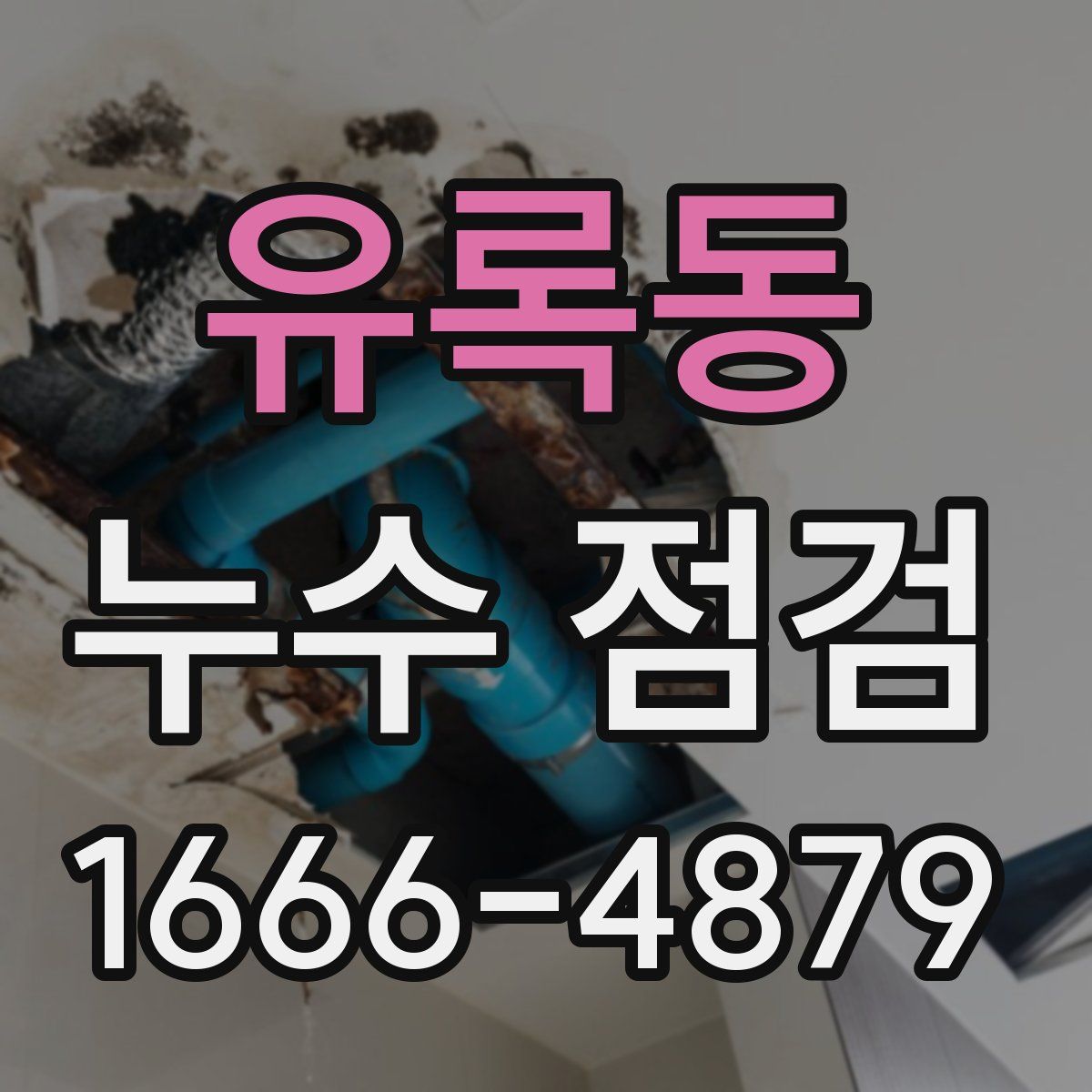 유록동 누수 점검