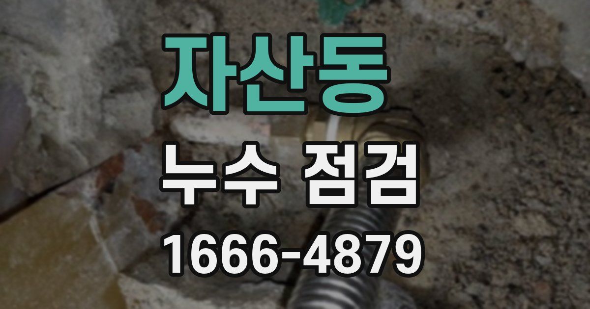 자산동 누수 점검