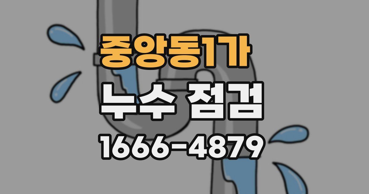 중앙동1가 누수 점검