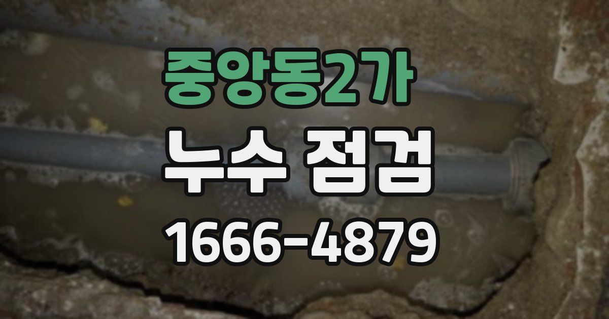 중앙동2가 누수 점검