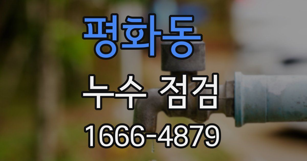 평화동 누수 점검