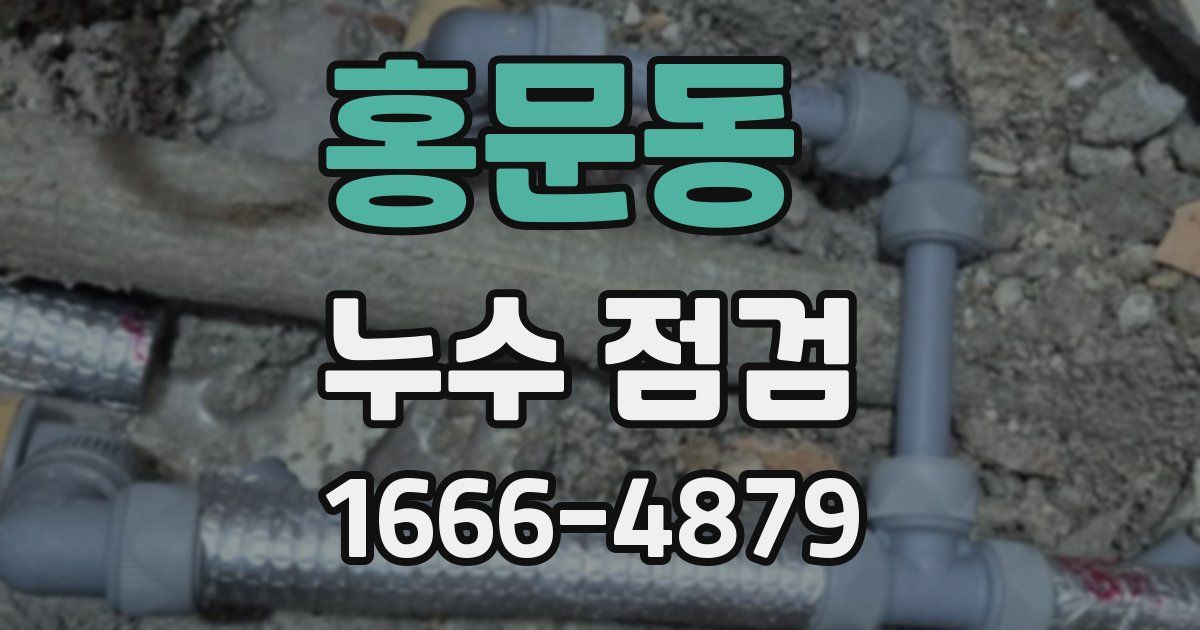 홍문동 누수 점검