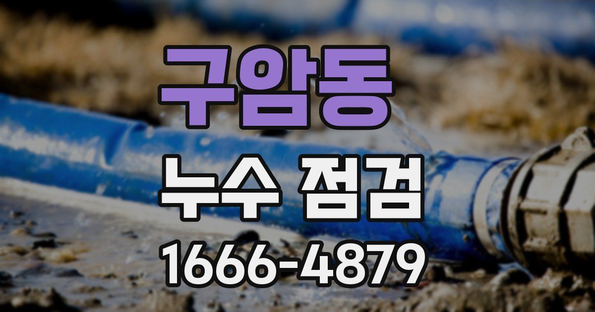 구암동 누수 점검