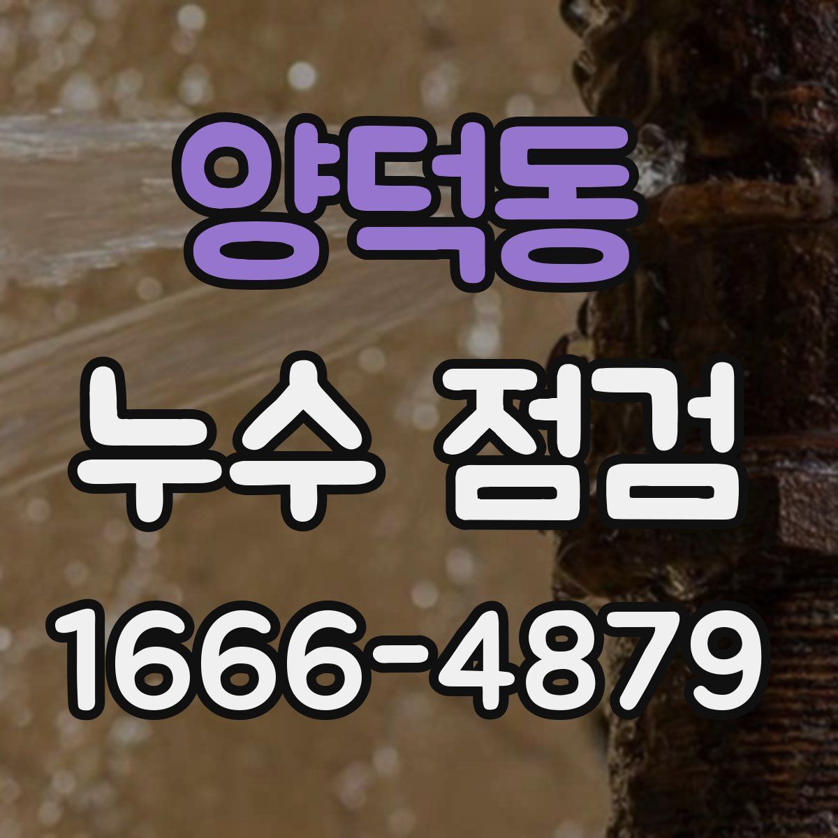 양덕동 누수 점검