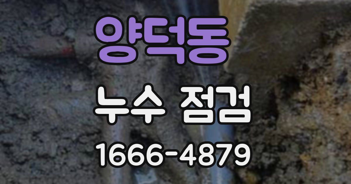 양덕동 누수 점검