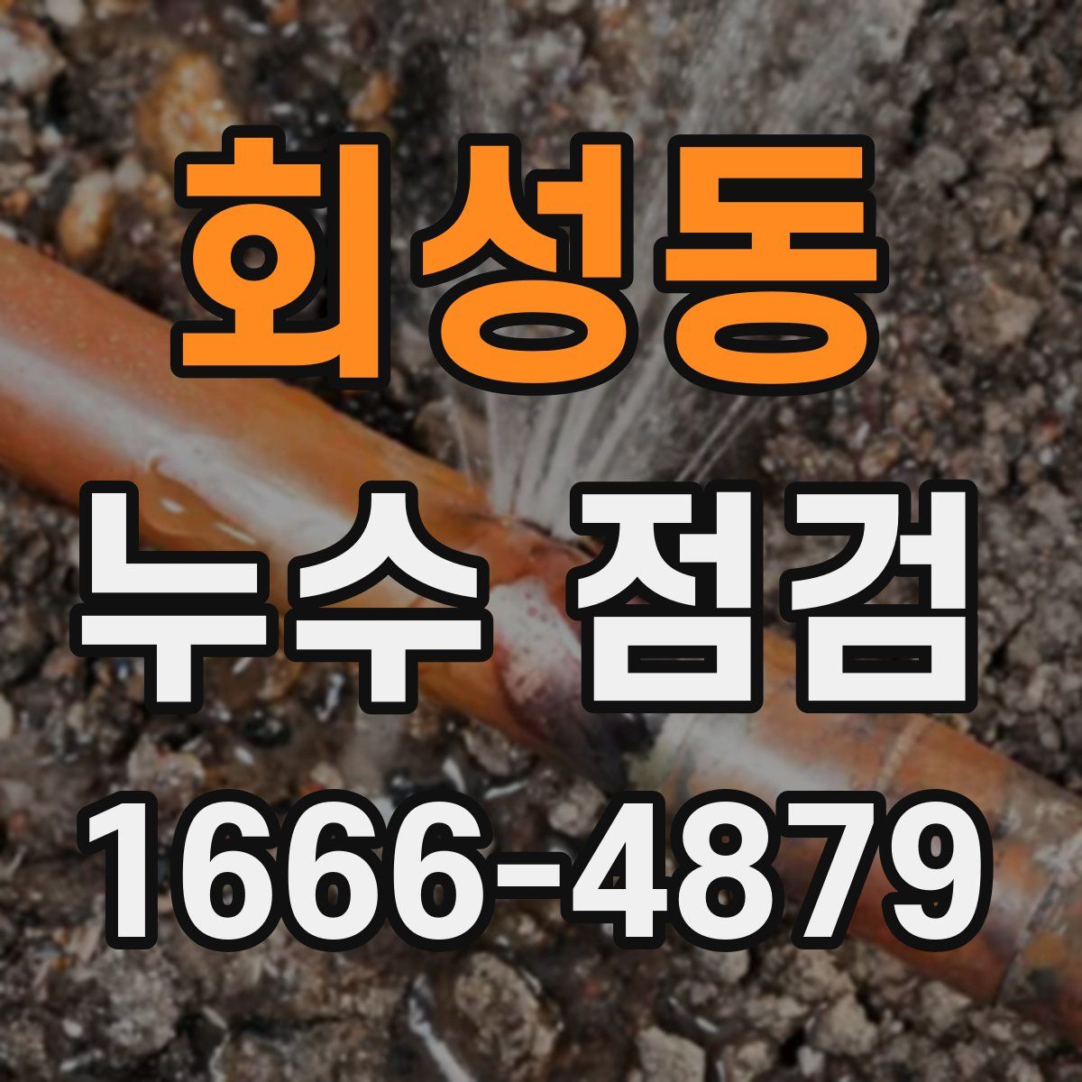 회성동 누수 점검