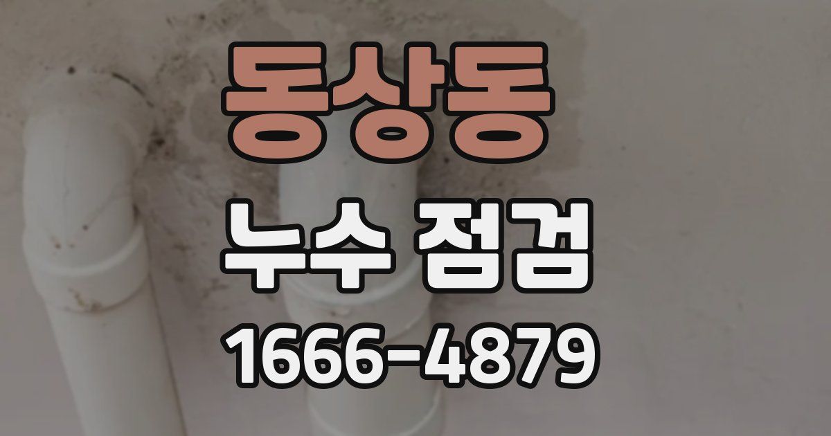 동상동 누수 점검