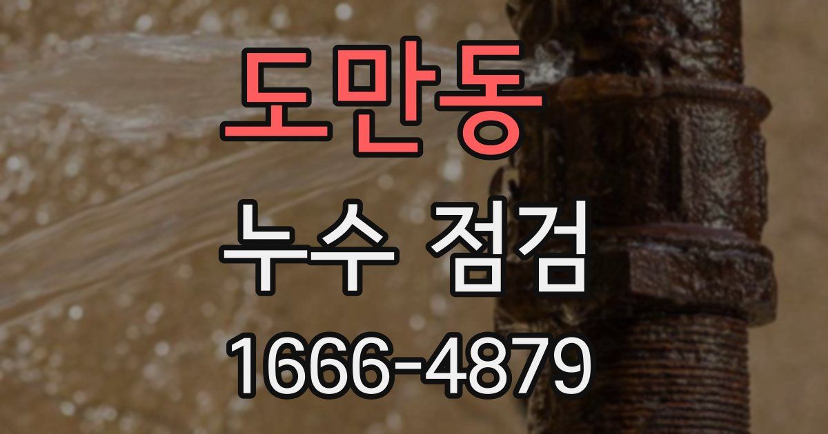 도만동 누수 점검