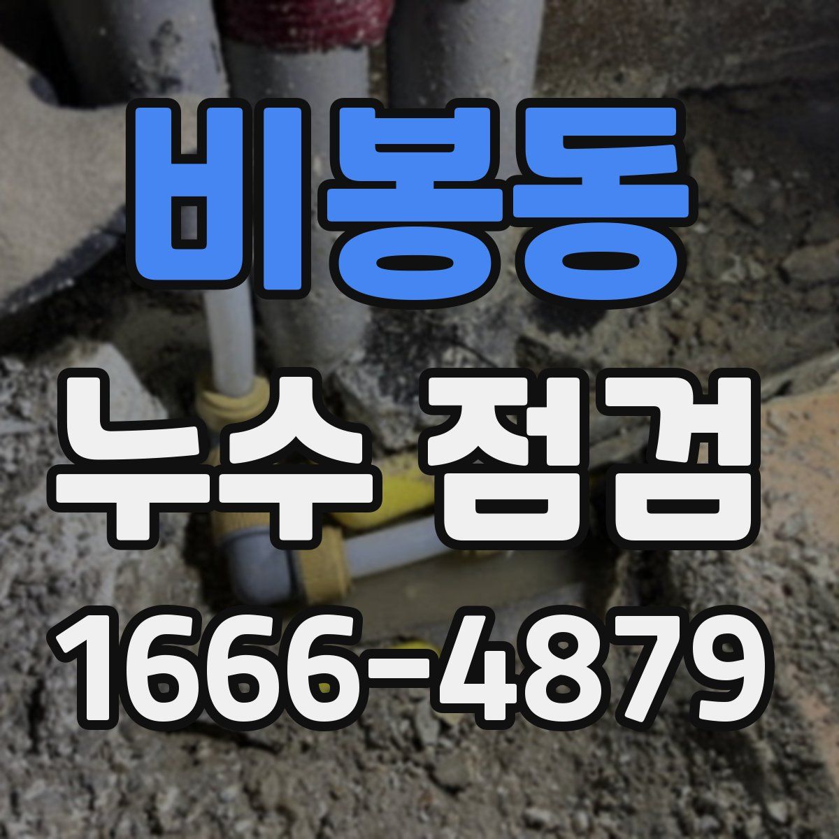 비봉동 누수 점검